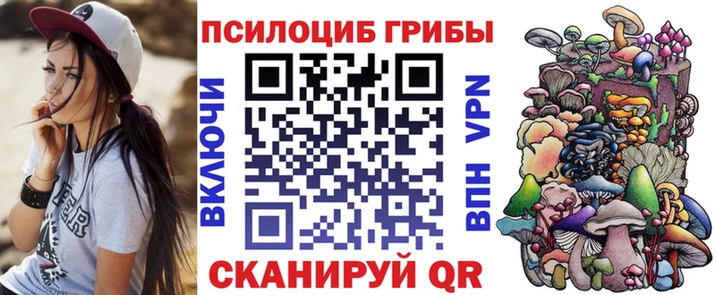 Псилоцибиновые грибы Psilocybe  mega как зайти  Староминская 