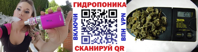 Бошки марихуана THC 21%  Староминская 